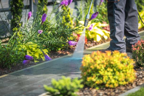 Best Animal Enclosure Cleaning  in Warrensville Heights, OH